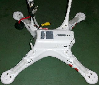 PhantomBear real close