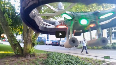 PhantomBear real close