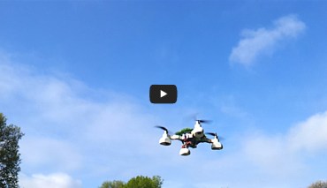 Sigma in the Hamburg Elbe park