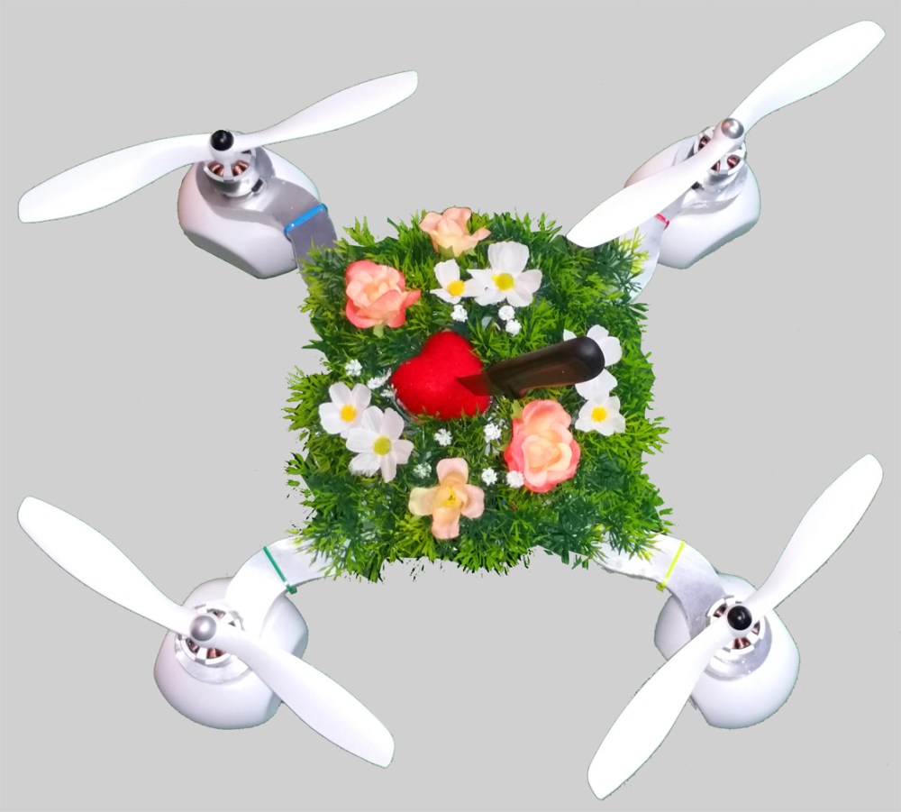 Sigma Rasen u Messer 02 klein