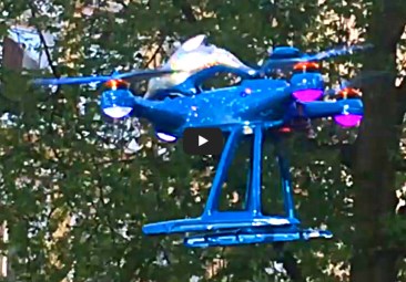 The Wave in the front garden