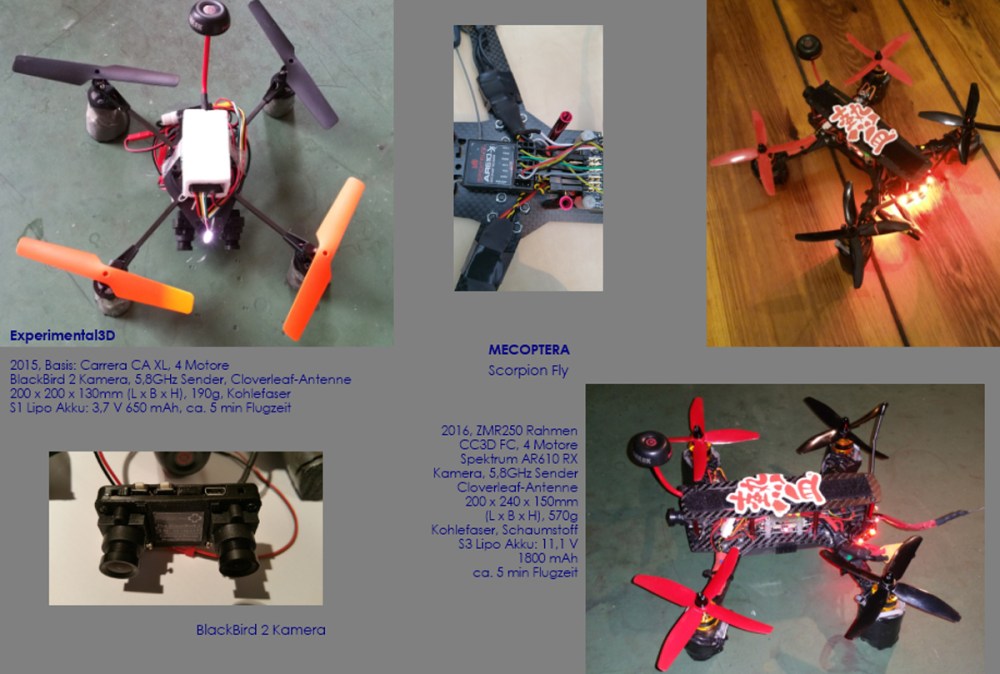 meine Insektoide18 01