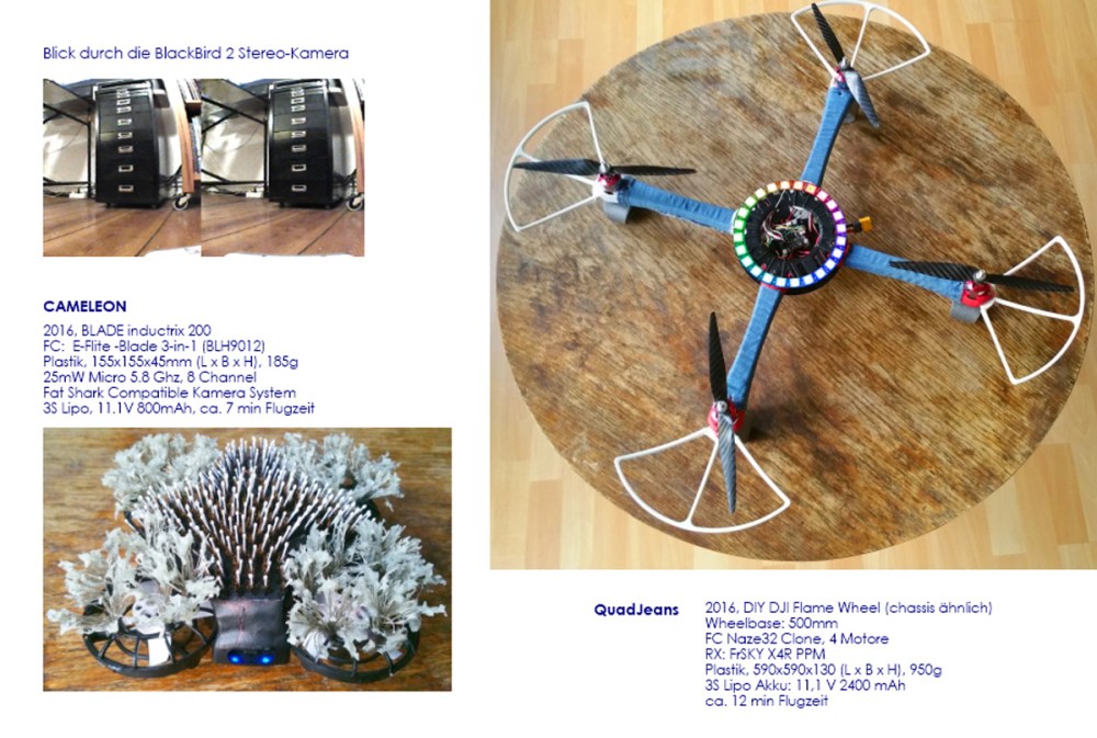 meine Insektoide20 01