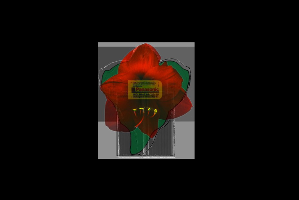 meine Insektoide23 01