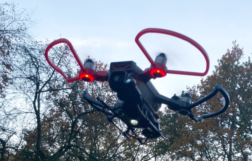 lightning bug from below in the park