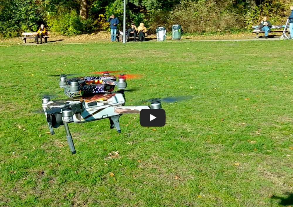 Spark piggyback Bauers Park 06 video