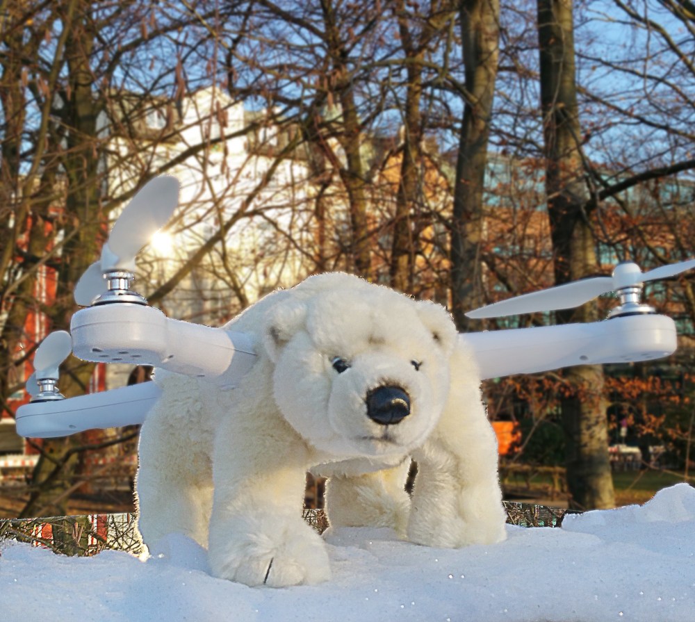 PuhB Polar Bear 1 06