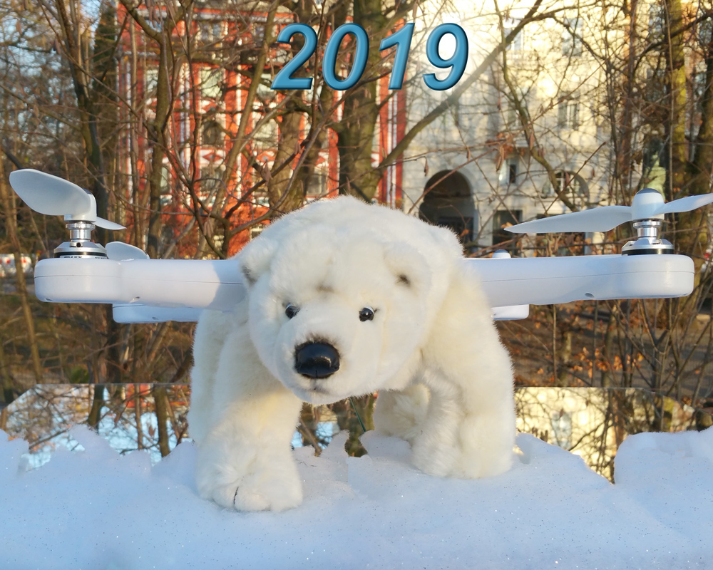 PuhB Polar Bear 2 2019 klein 01