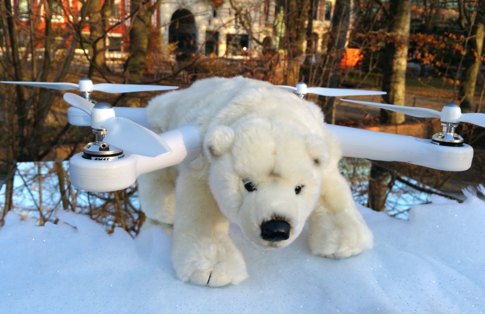 PuhB Polar Bear 3 01